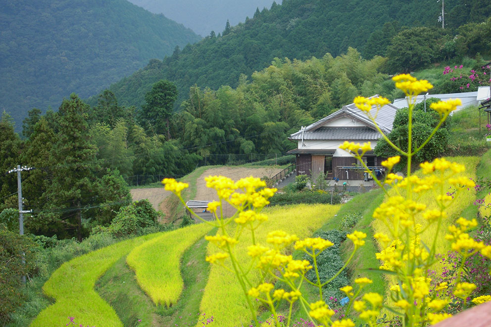 Takahara Settlement